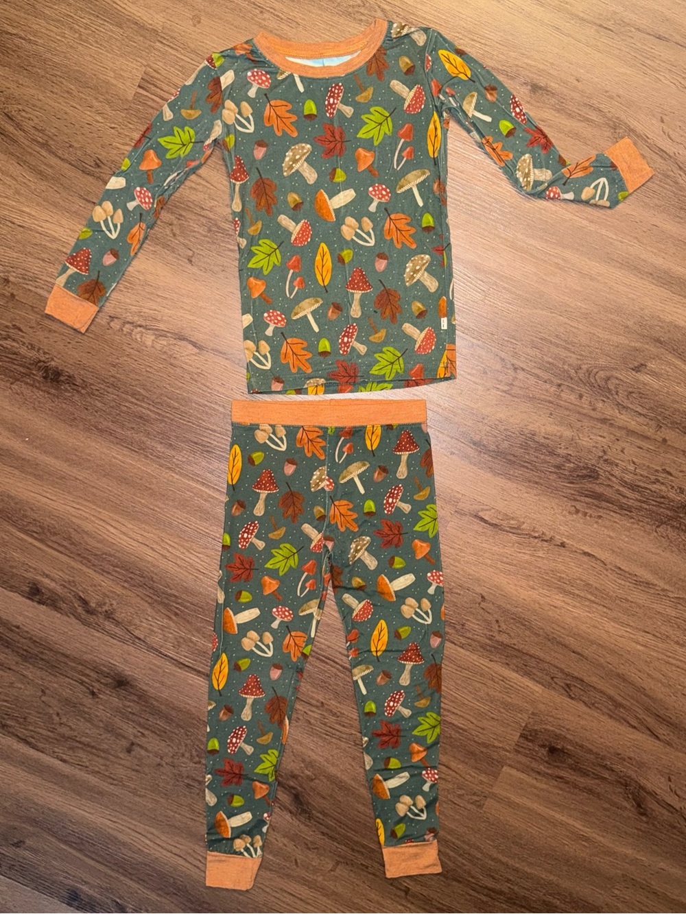 Little Sleepies Woodland Forest LS PJ Set (4T)